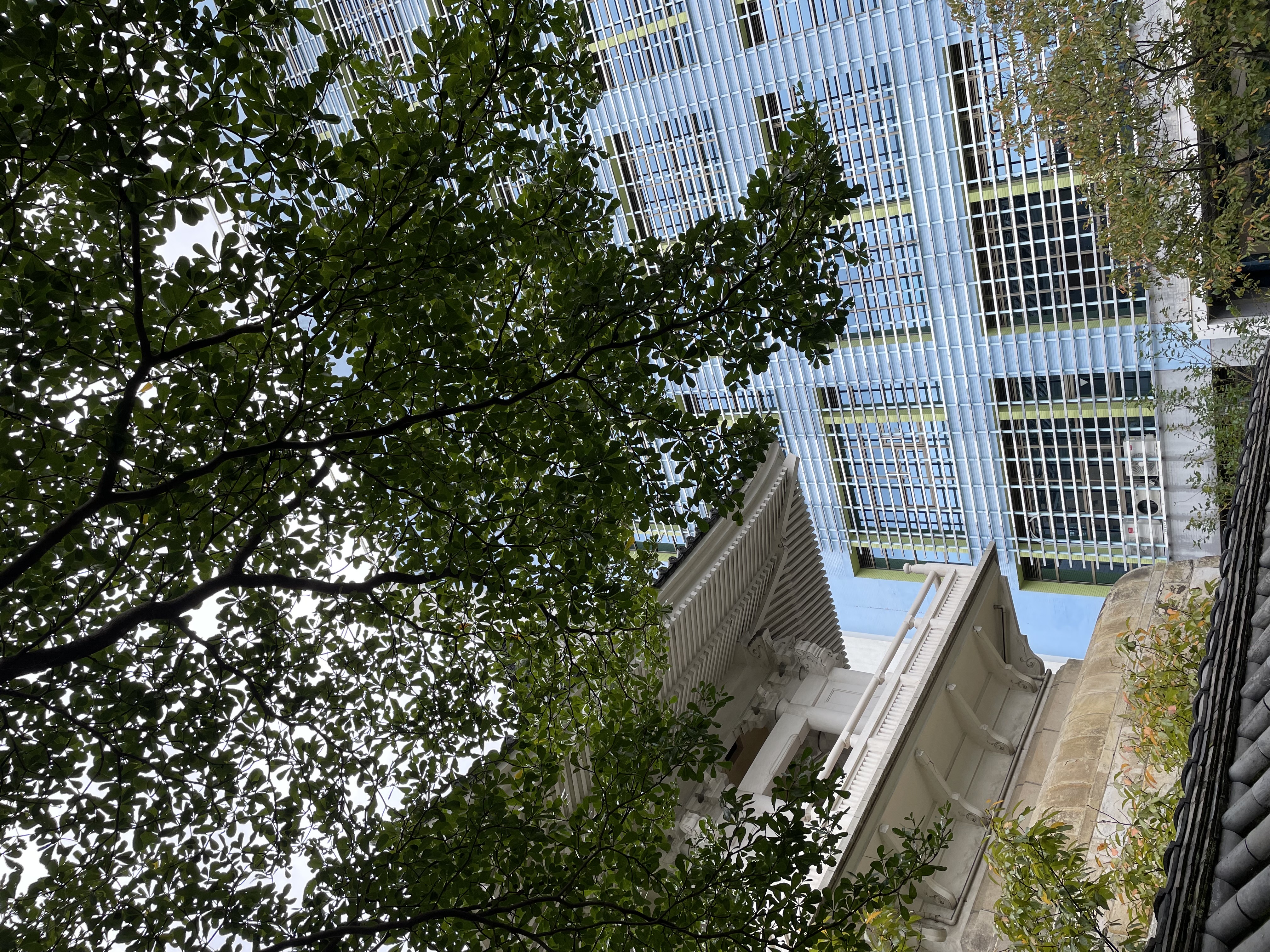 場域圖片 鐘樓廣場(仰角)